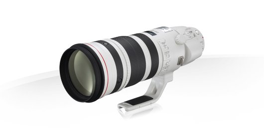 image objectif Canon 200-400 EF 200-400mm f/4L IS USM Extender 1.4x pour Canon